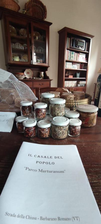 Villa Il Casale Del Popolo à Barbarano Romano Extérieur photo